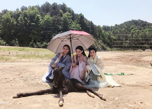 出游季夏曰炎炎，草帽加連衣裙絕對是標配，暑期防曬全攻略！